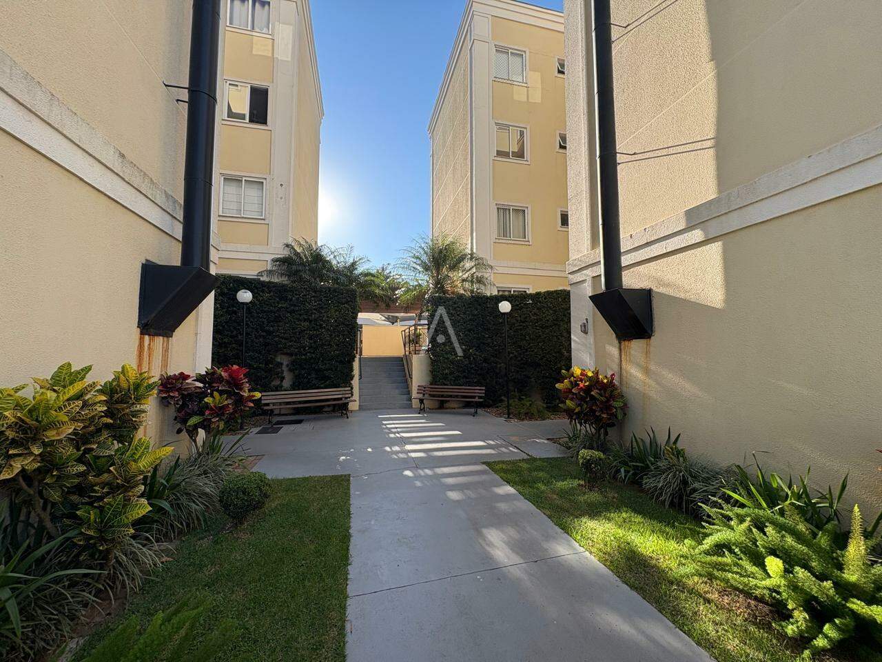 Apartamento para para aluguel no Bairro COUNTRY em CASCAVEL: 
