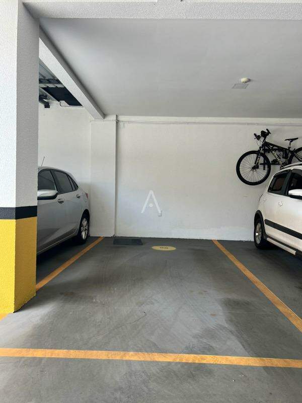 Apartamento para para aluguel no Bairro CENTRO em TOLEDO: