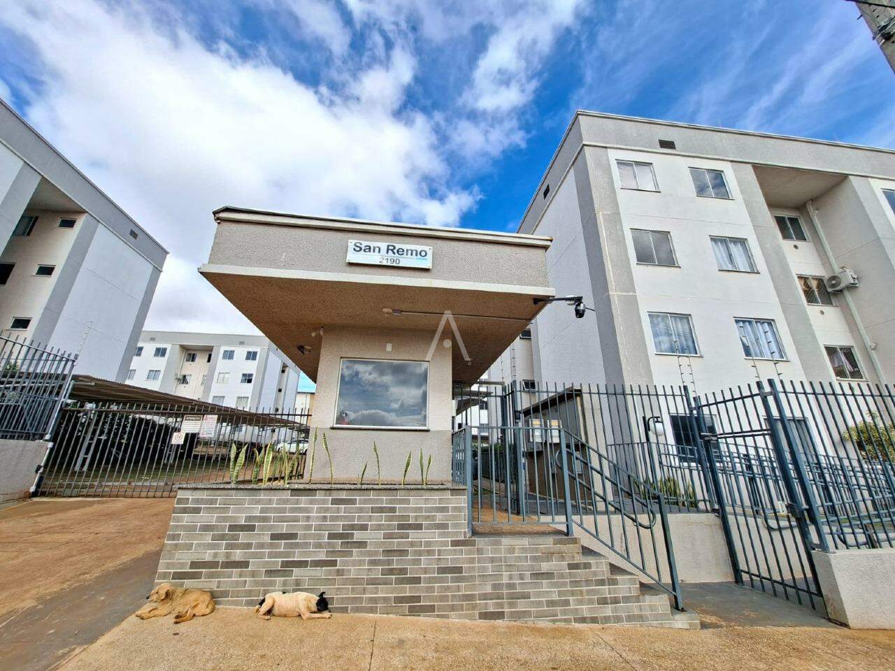 Apartamento para para aluguel no Bairro FLORESTA em CASCAVEL: 