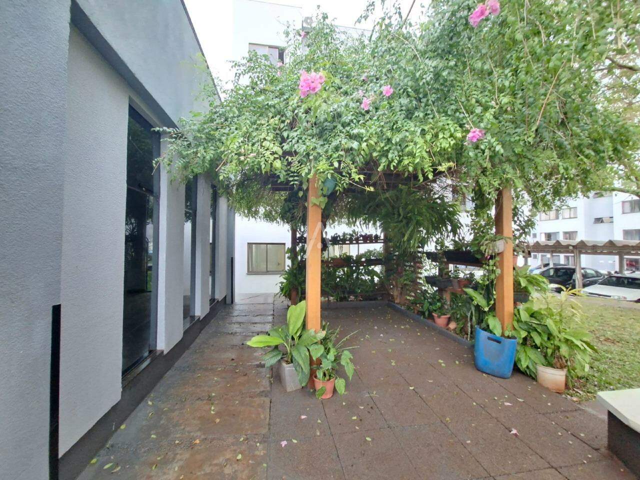 Apartamento para para aluguel no Bairro COQUEIRAL em CASCAVEL: 