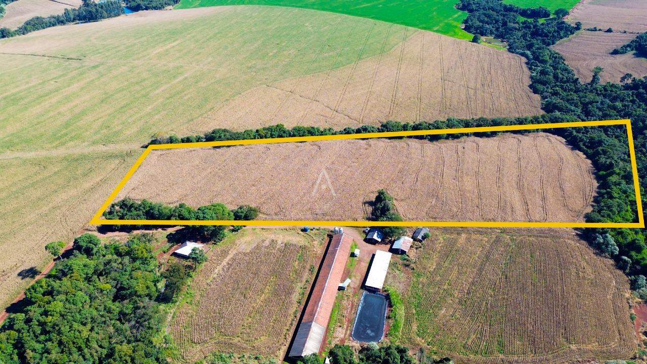 Imóveis Rurais para à venda no Bairro AREA RURAL em SANTA TEREZA DO OESTE: 