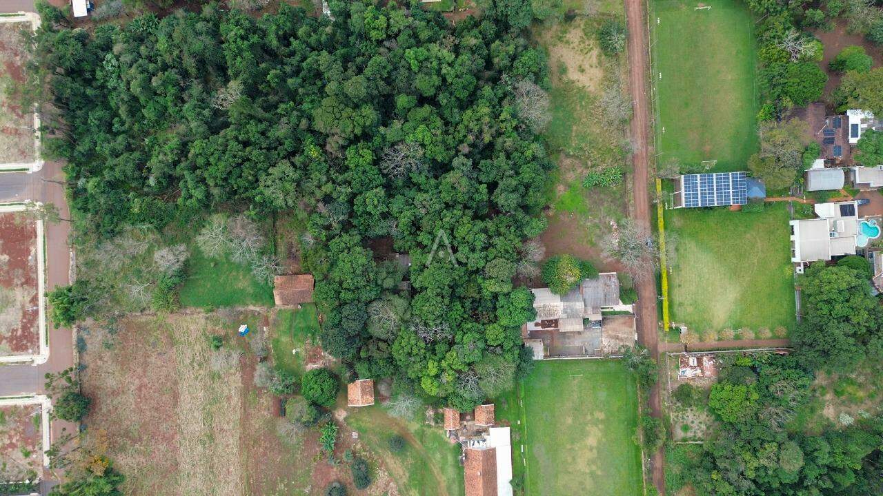 Terreno para à venda no Bairro TOCANTINS em TOLEDO: