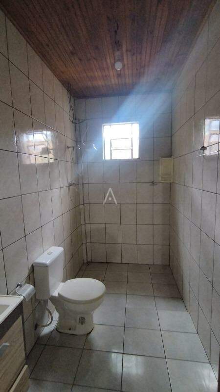 Casa Residencial para para aluguel no Bairro JARDIM BRESSAN em TOLEDO: 