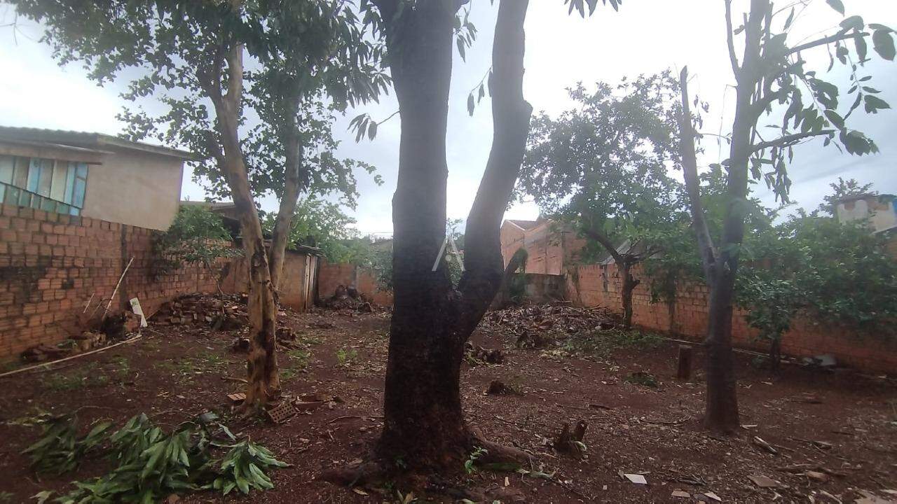 Casa Residencial para para aluguel no Bairro JARDIM BRESSAN em TOLEDO: 