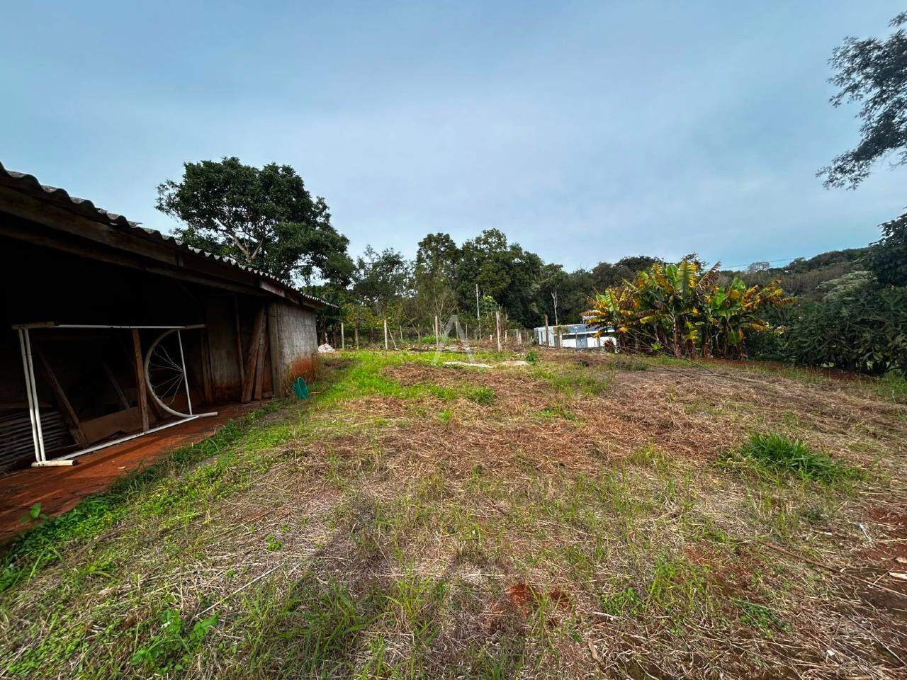 Imóveis Rurais para à venda no Bairro Área Rural de Cascavel em CASCAVEL: 