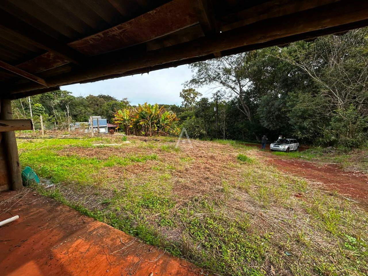 Imóveis Rurais para à venda no Bairro Área Rural de Cascavel em CASCAVEL: 