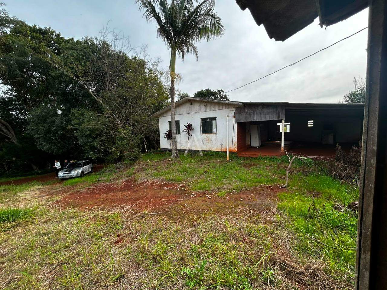 Imóveis Rurais para à venda no Bairro Área Rural de Cascavel em CASCAVEL: 
