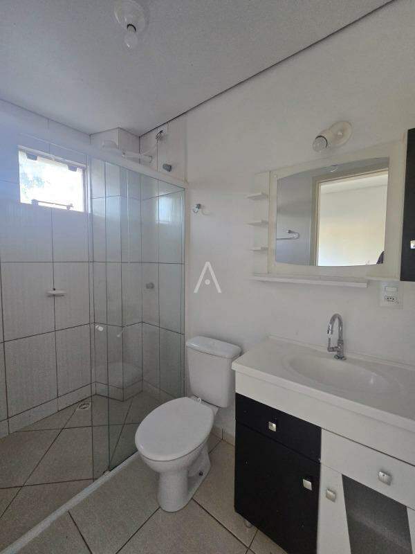 Apartamento para para aluguel no Bairro VILA INDUSTRIAL em TOLEDO: