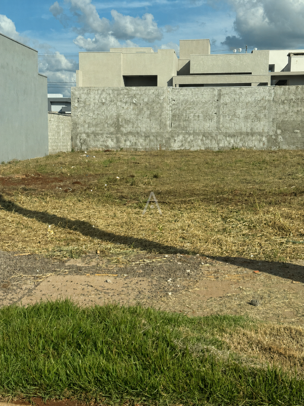 Terreno para à venda no Bairro Cristo Rei em TOLEDO: 