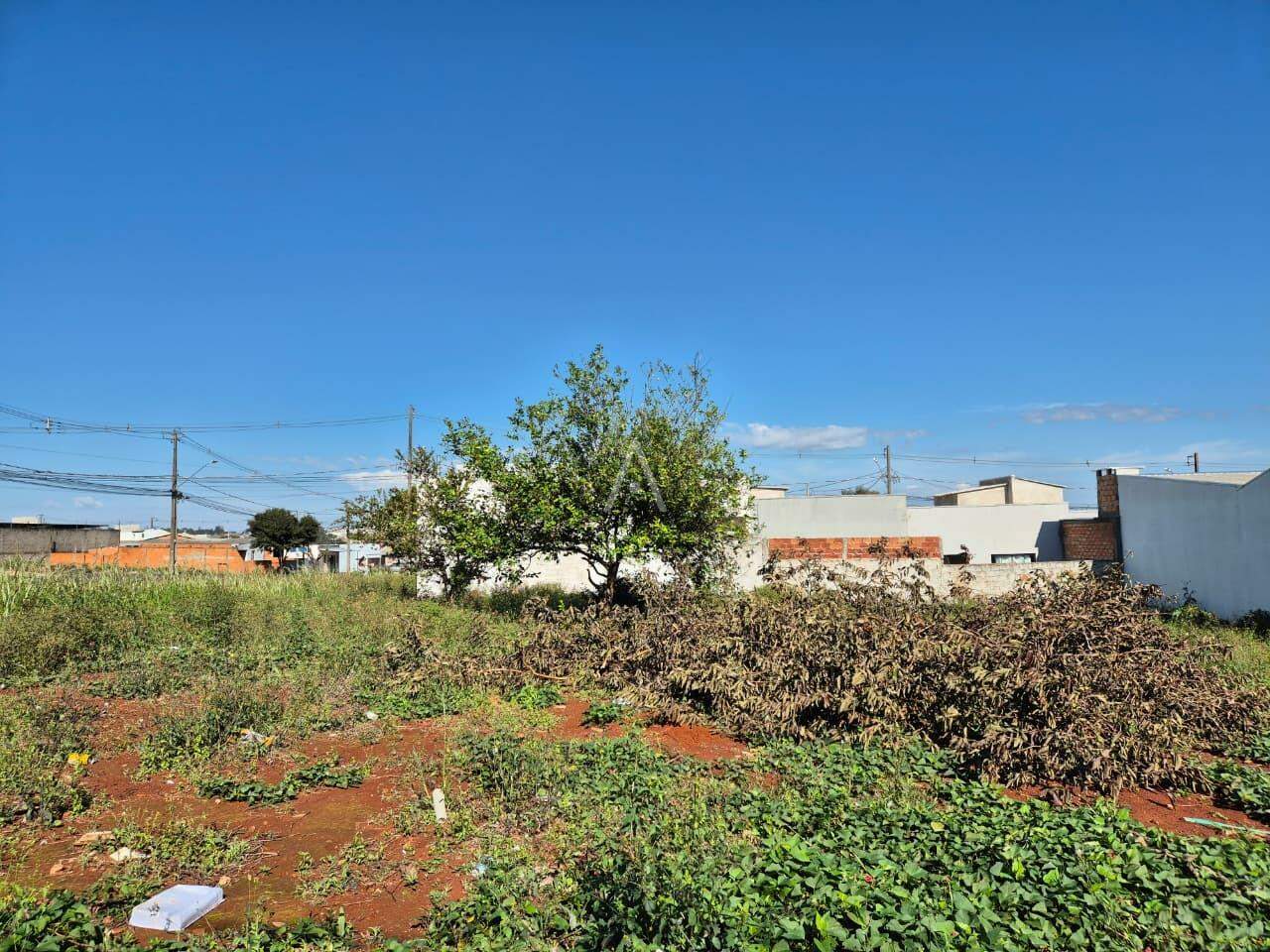Terreno para à venda no Bairro BARCELONA em CASCAVEL: 