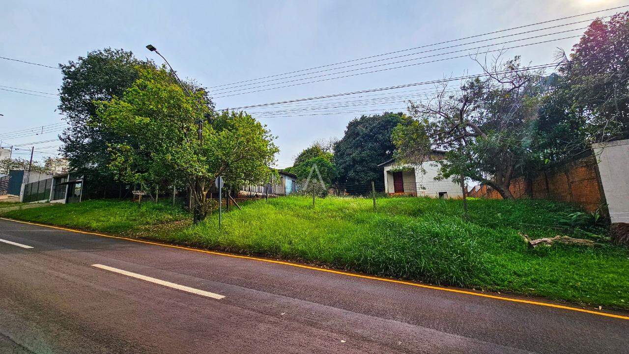 Terreno para à venda no Bairro CENTRO em CASCAVEL: 