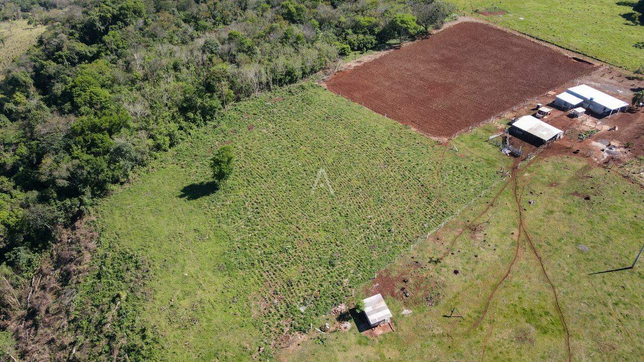Imóveis Rurais para à venda no Bairro Juvinópolis em CASCAVEL: 