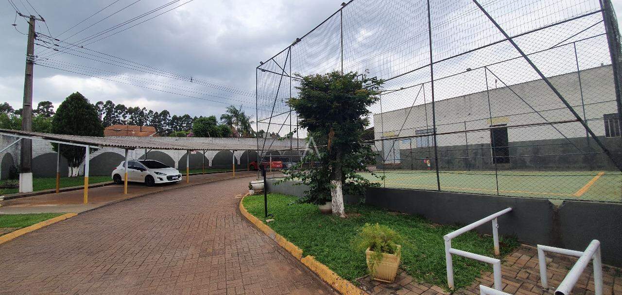 Apartamento para para aluguel no Bairro PACAEMBU em CASCAVEL: