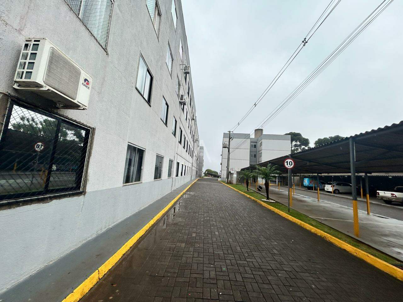 Apartamento para para aluguel no Bairro PACAEMBU em CASCAVEL: