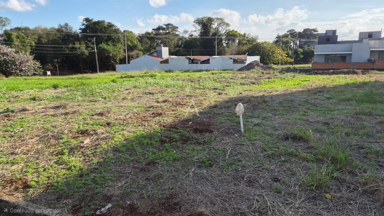 Terreno para à venda no Bairro VILA BECKER em TOLEDO: 