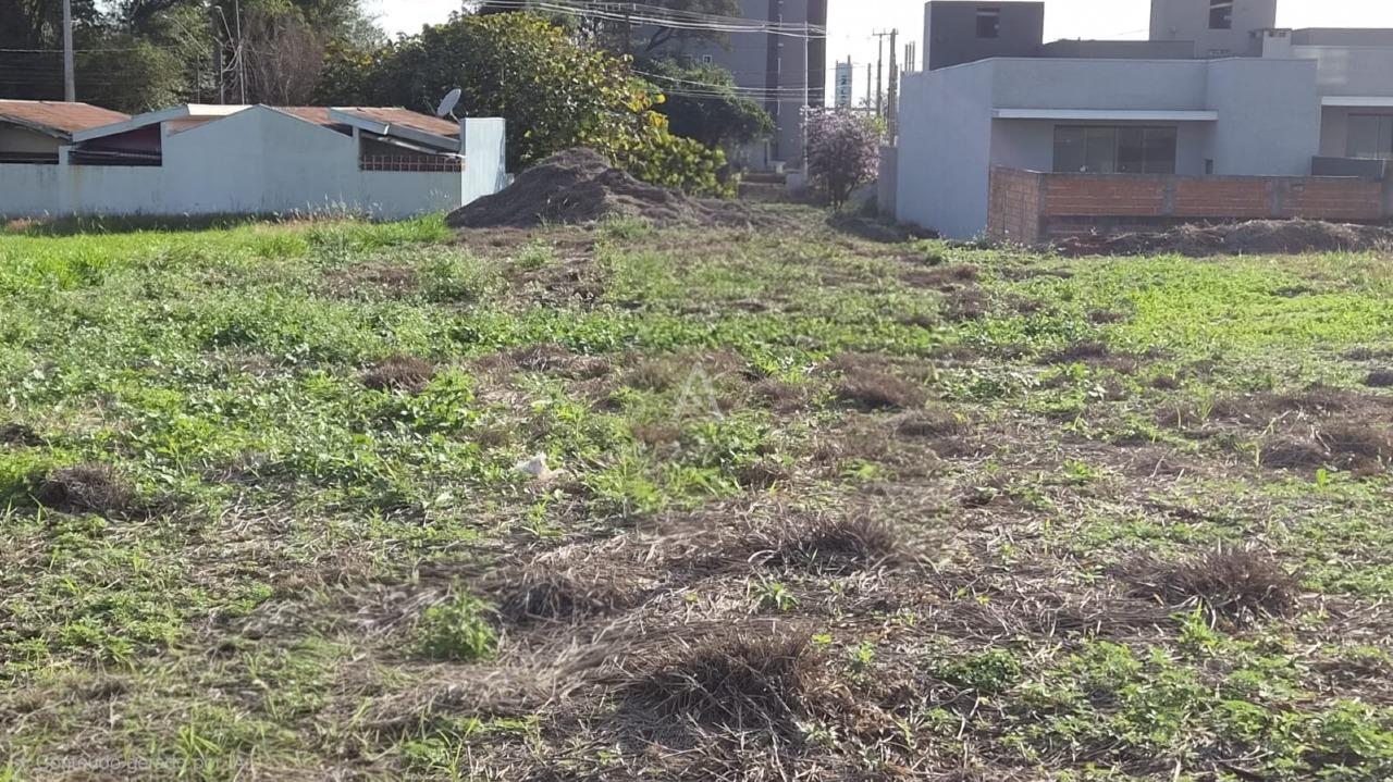 Terreno para à venda no Bairro VILA BECKER em TOLEDO: