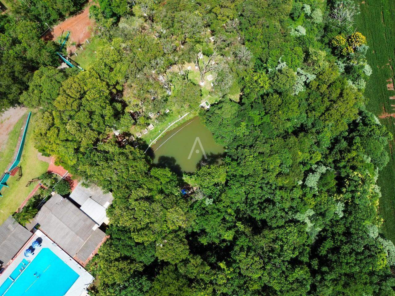 Terreno para à venda no Bairro MORUMBI em CASCAVEL: 