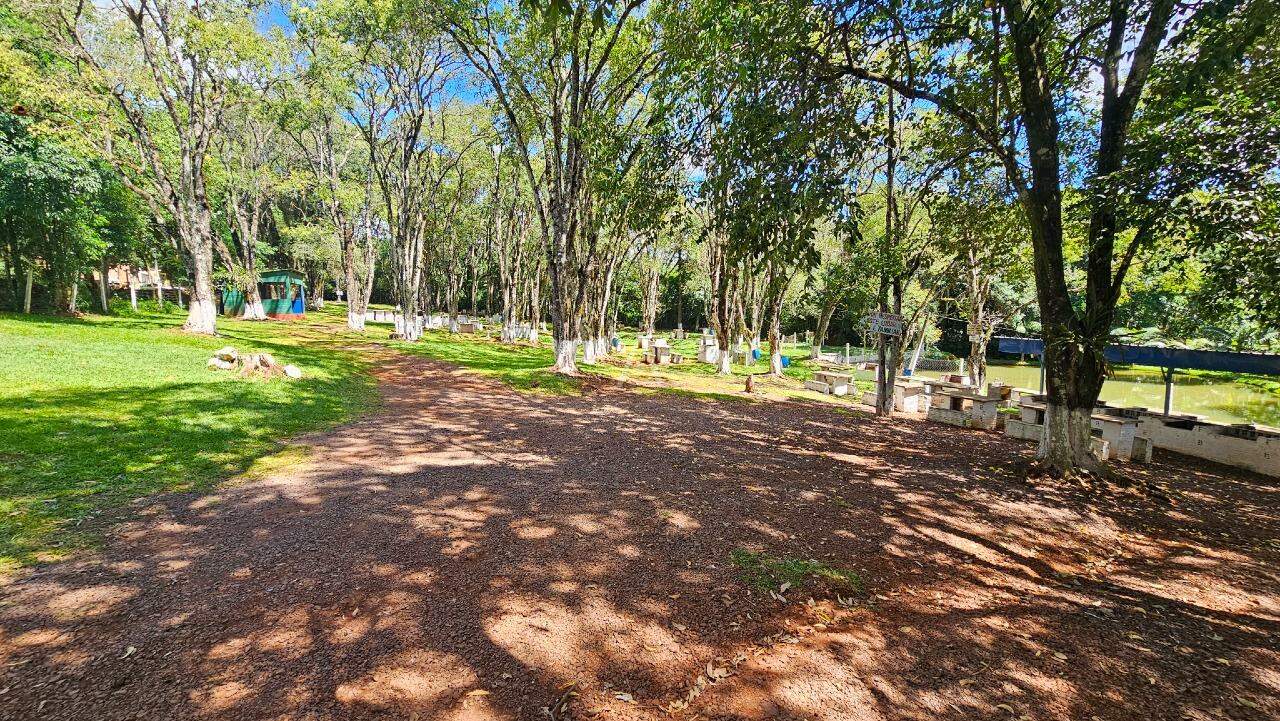 Terreno para à venda no Bairro MORUMBI em CASCAVEL: 