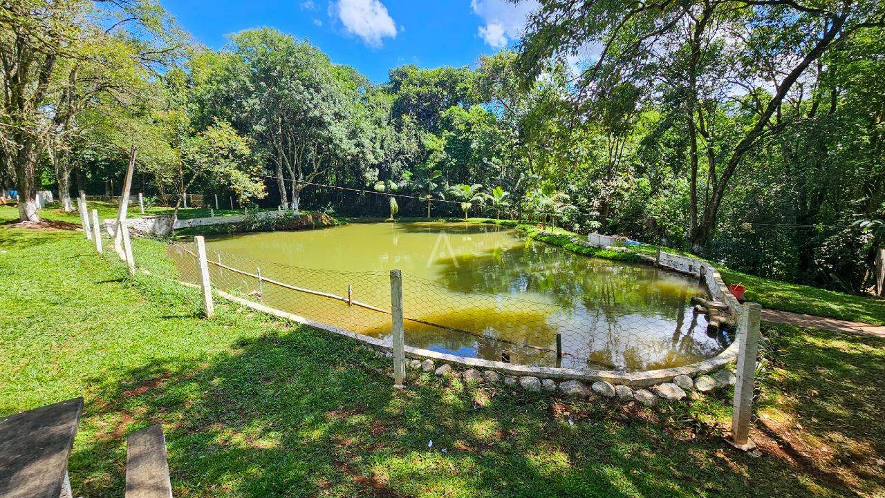 Terreno para à venda no Bairro MORUMBI em CASCAVEL: 