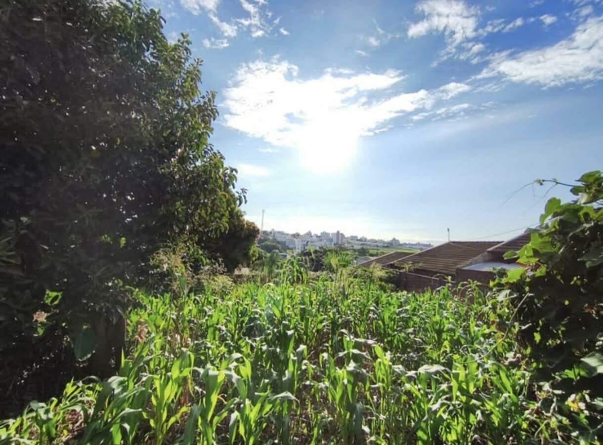 Terreno para à venda no Bairro COQUEIRAL em CASCAVEL: 