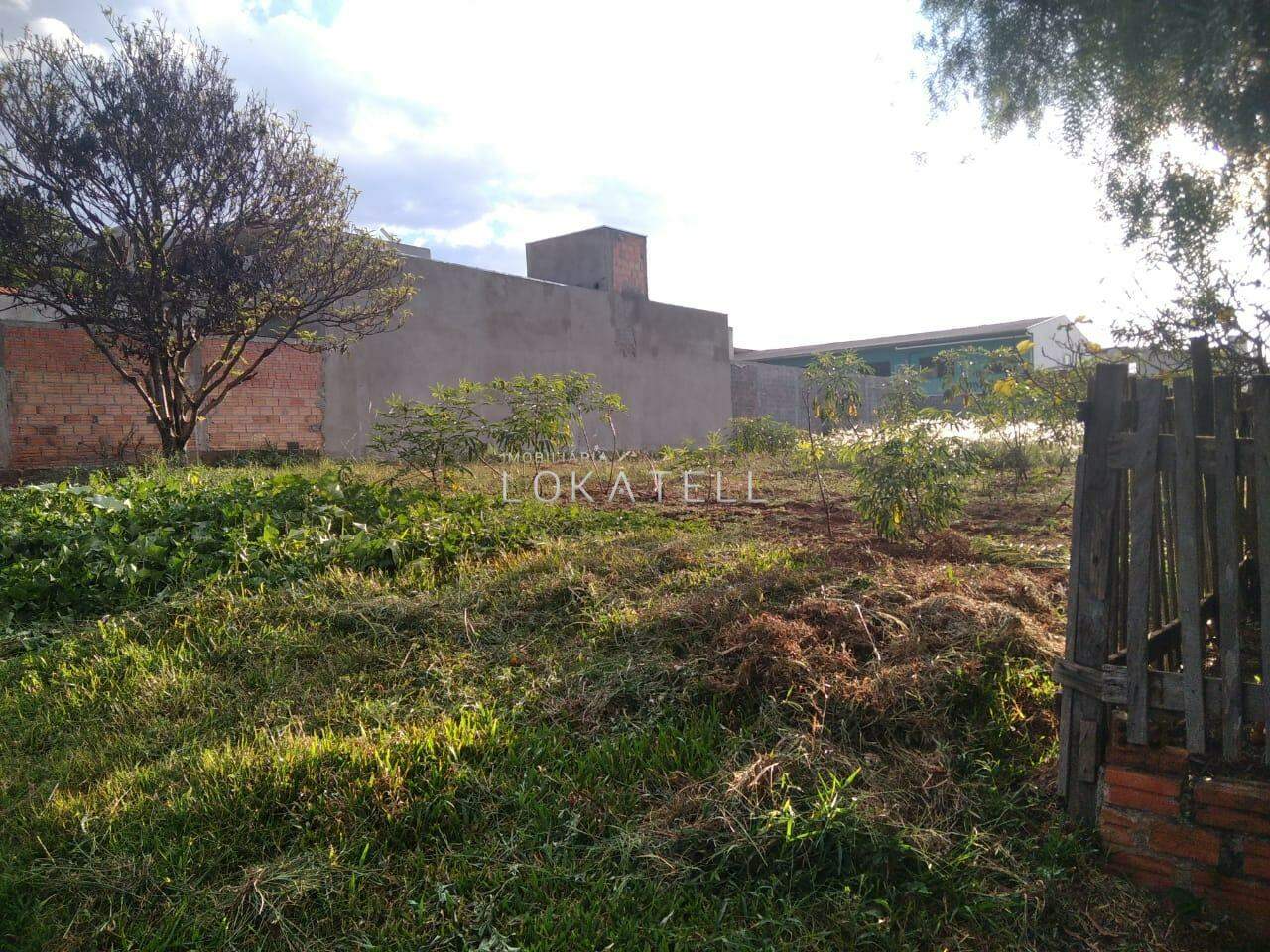 Terreno para para aluguel no Bairro SANTO ONOFRE em CASCAVEL: 