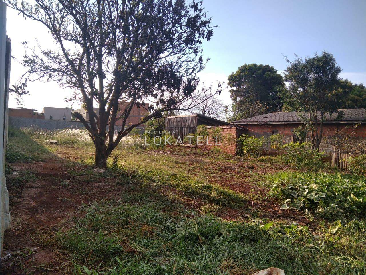 Terreno para para aluguel no Bairro SANTO ONOFRE em CASCAVEL: 