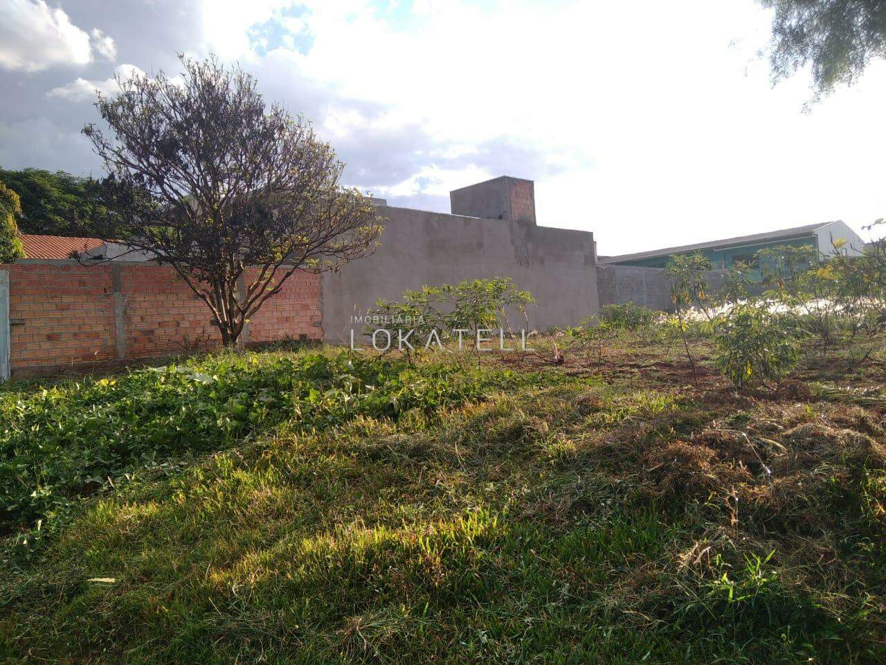 Terreno para para aluguel no Bairro SANTO ONOFRE em CASCAVEL: 