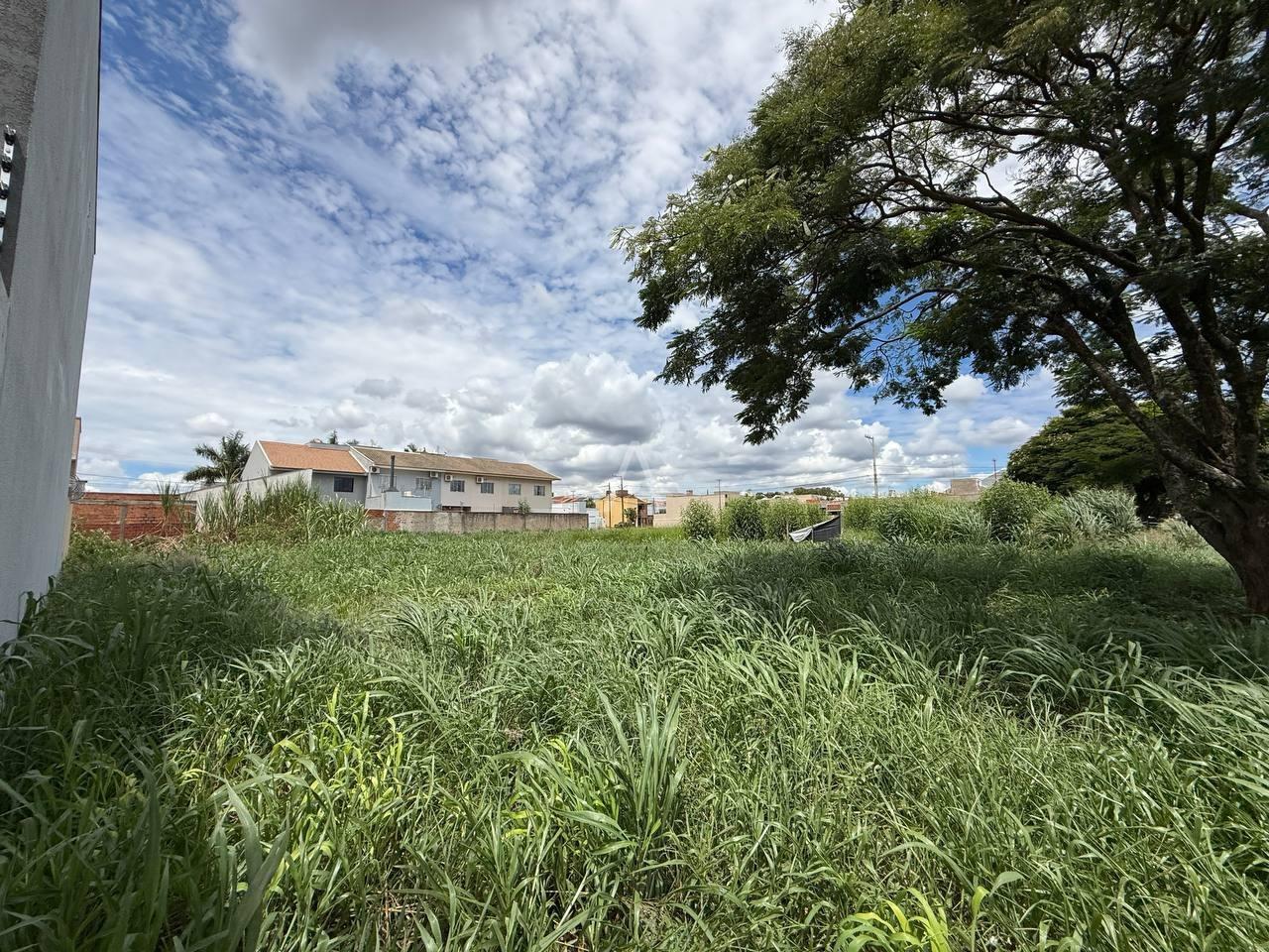 Terreno para à venda no Bairro JARDIM GISELA em TOLEDO: 