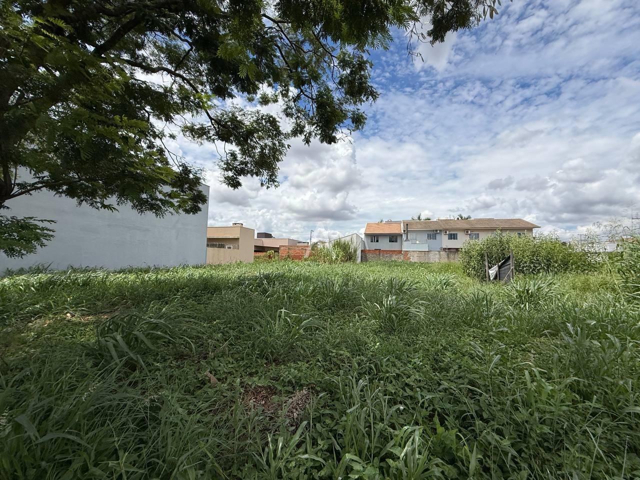 Terreno para à venda no Bairro JARDIM GISELA em TOLEDO: 