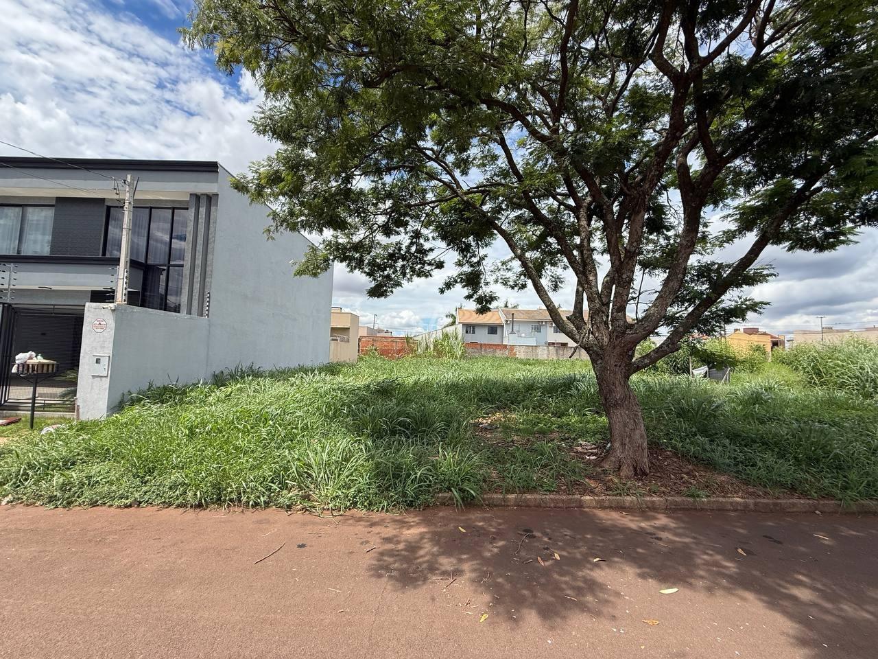 Terreno para à venda no Bairro JARDIM GISELA em TOLEDO: 