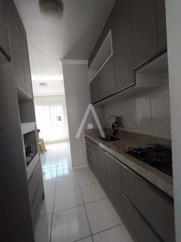 Apartamento para para aluguel no Bairro VILA INDUSTRIAL em TOLEDO: