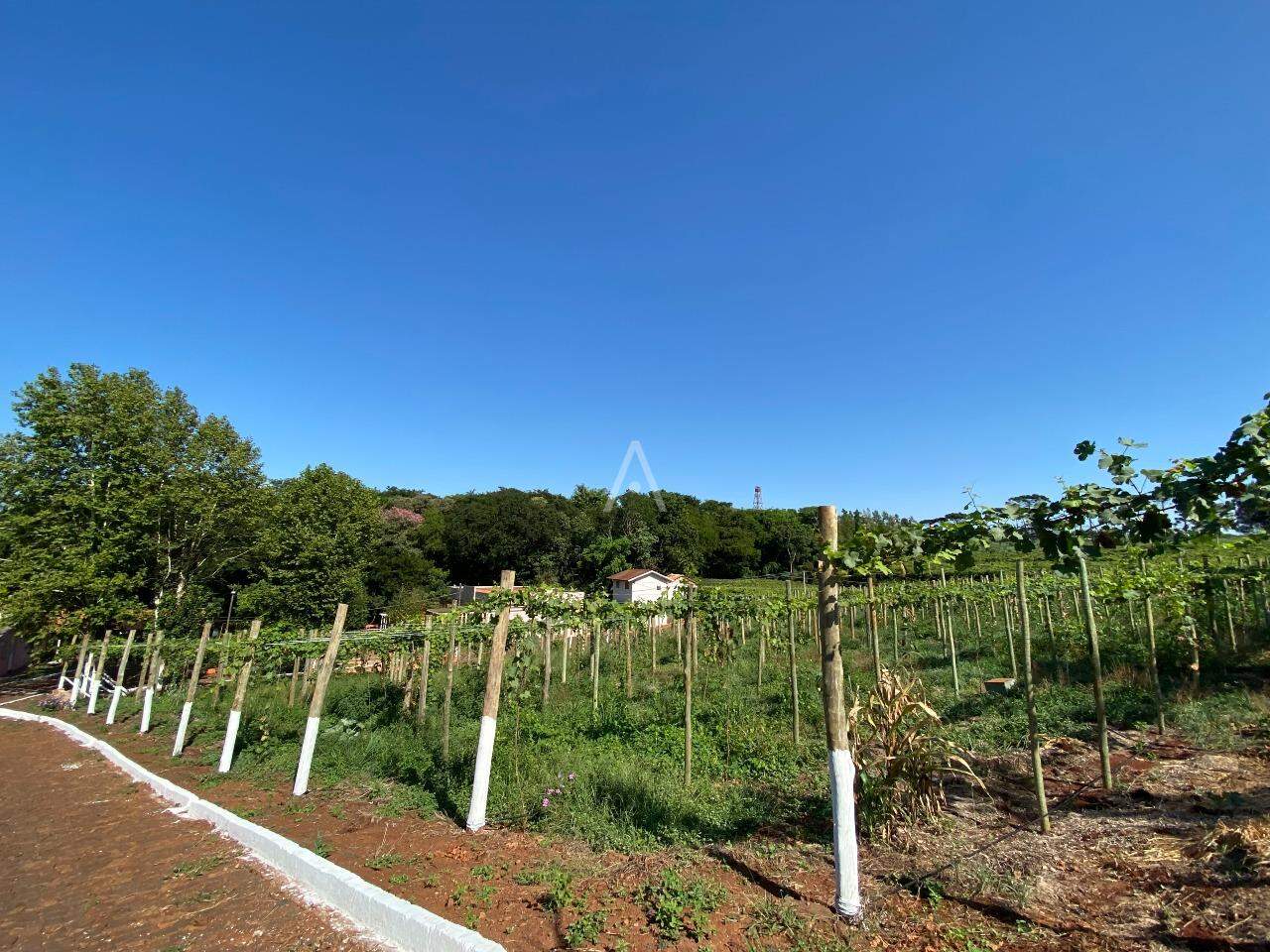 Imóveis Rurais para à venda no Bairro LINHA GONÇALVES DIAS em SANTA TEREZA DO OESTE: