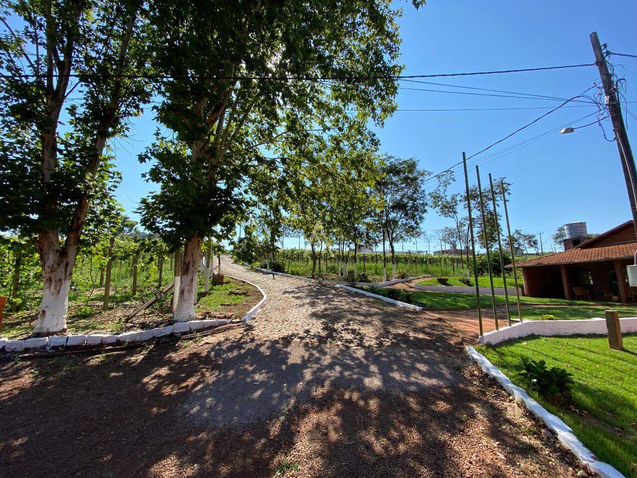 Imóveis Rurais para à venda no Bairro LINHA GONÇALVES DIAS em SANTA TEREZA DO OESTE: 