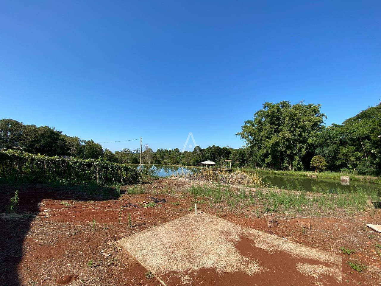 Imóveis Rurais para à venda no Bairro LINHA GONÇALVES DIAS em SANTA TEREZA DO OESTE: