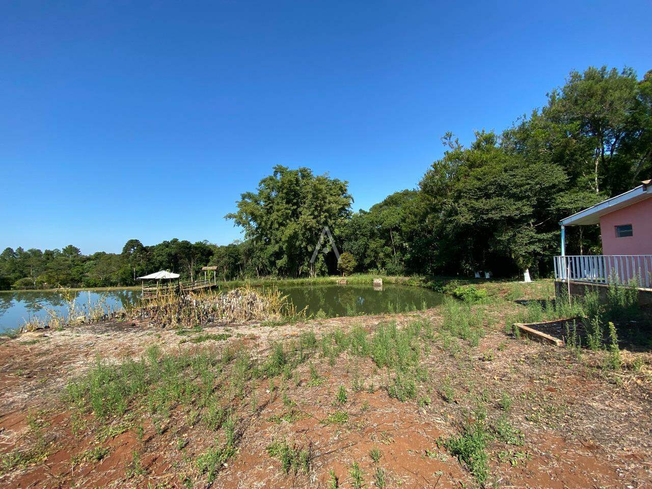 Imóveis Rurais para à venda no Bairro LINHA GONÇALVES DIAS em SANTA TEREZA DO OESTE: