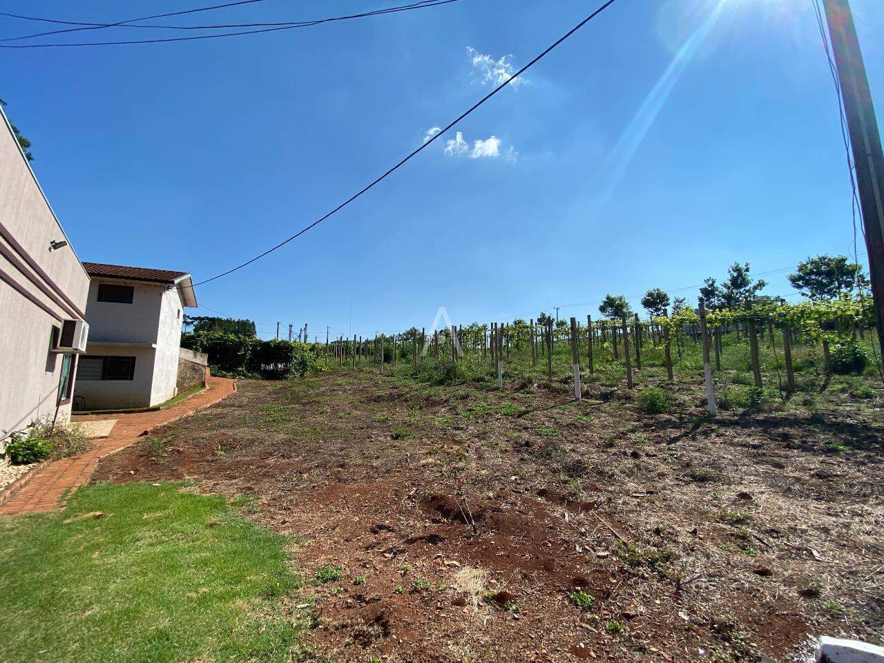 Imóveis Rurais para à venda no Bairro LINHA GONÇALVES DIAS em SANTA TEREZA DO OESTE:
