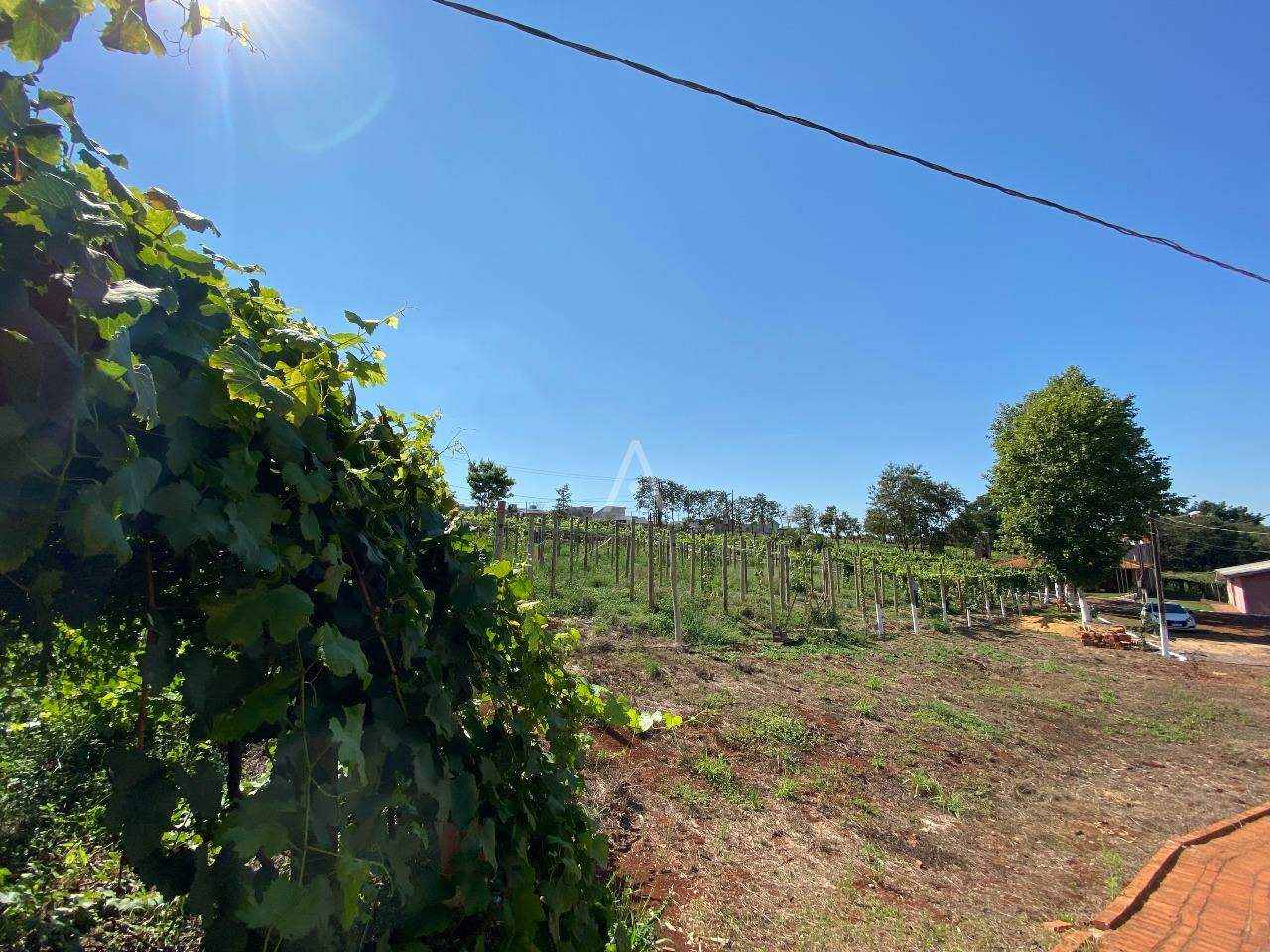 Imóveis Rurais para à venda no Bairro LINHA GONÇALVES DIAS em SANTA TEREZA DO OESTE: