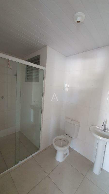 Apartamento para para aluguel no Bairro UNIVERSITARIO em CASCAVEL: 