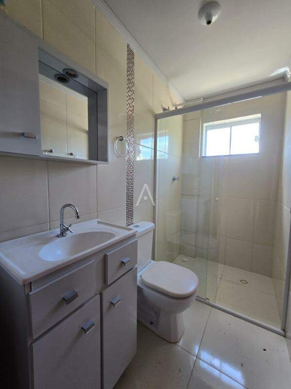 Apartamento para para aluguel no Bairro CENTRO em TOLEDO: 