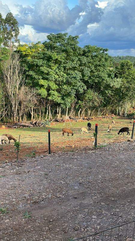 Imóveis Rurais para à venda no Bairro CENTRO em NOVA LARANJEIRAS: