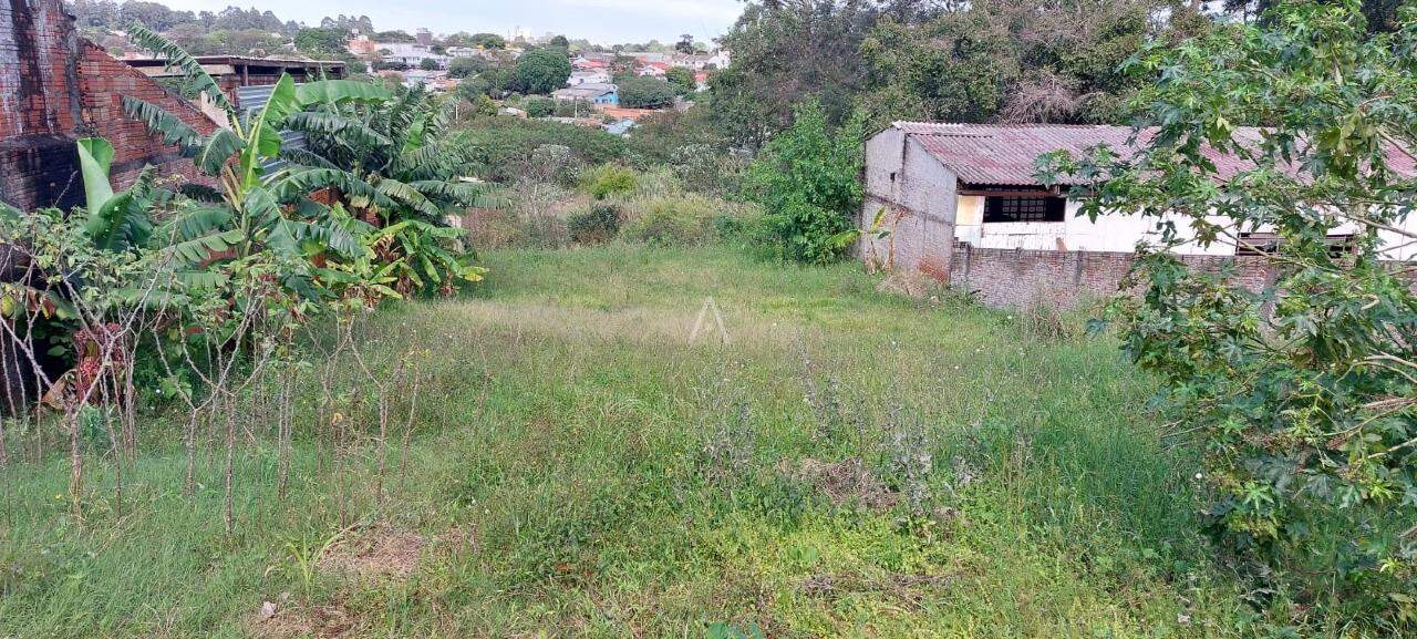 Terreno para à venda no Bairro CANADA em CASCAVEL: