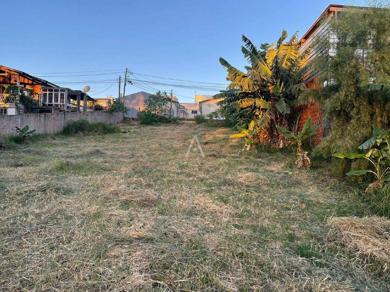 Terreno para à venda no Bairro CANADA em CASCAVEL: