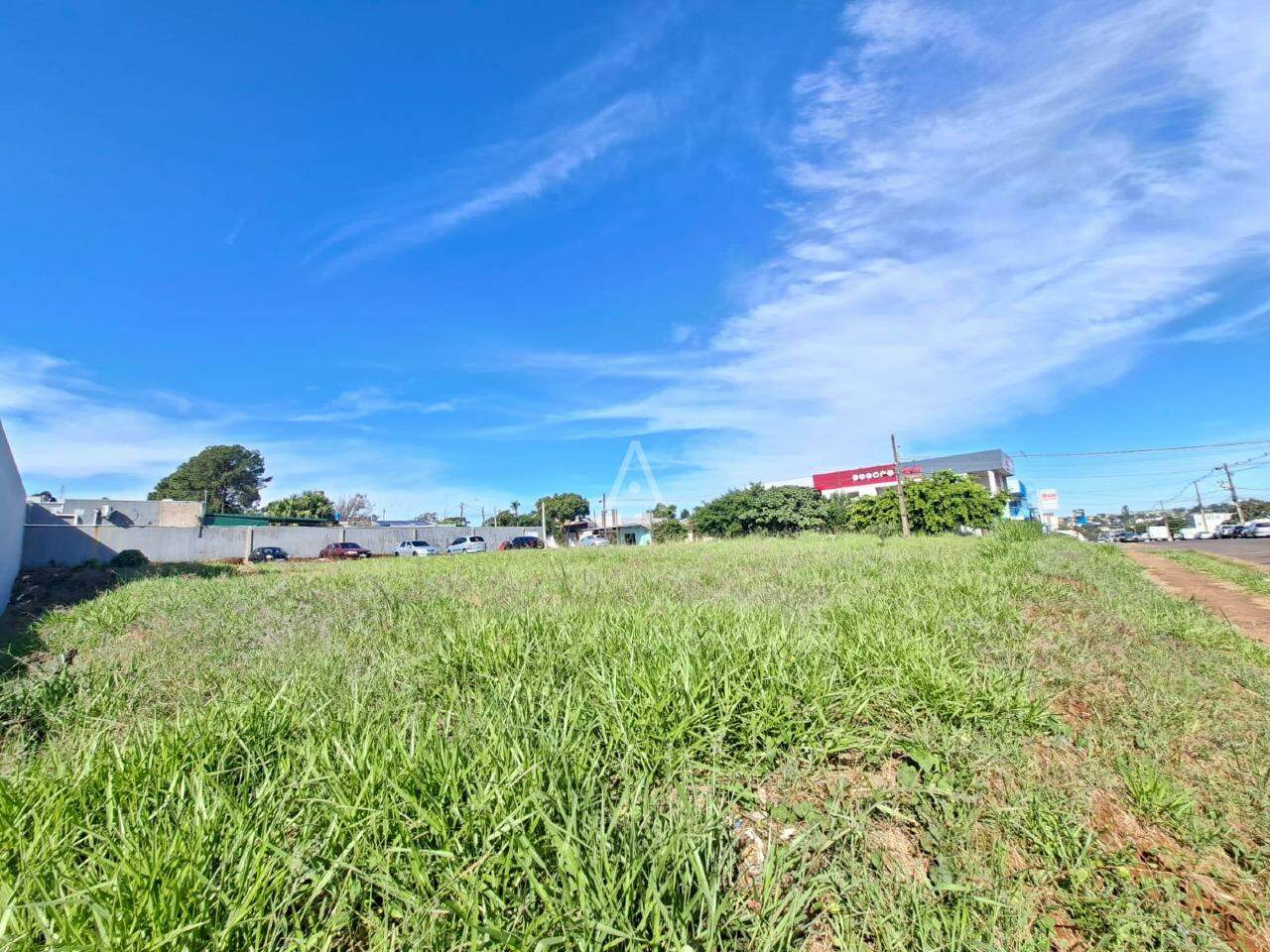 Terreno para para aluguel no Bairro PACAEMBU em CASCAVEL: