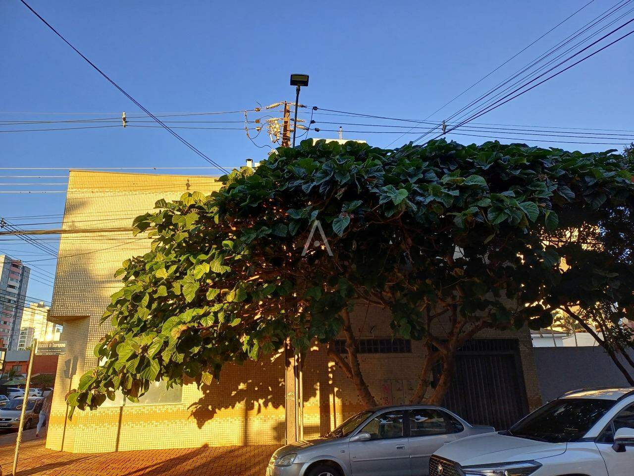 Apartamento para para aluguel no Bairro CENTRO em CASCAVEL: 