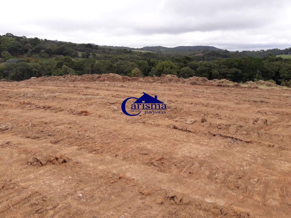 Terreno à venda, 242000m² - Foto 7