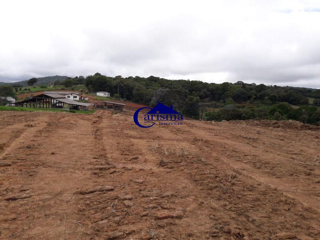 Terreno à venda, 242000m² - Foto 3