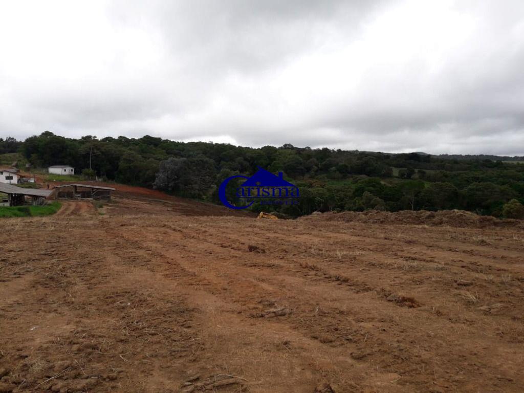 Terreno à venda, 242000m² - Foto 10