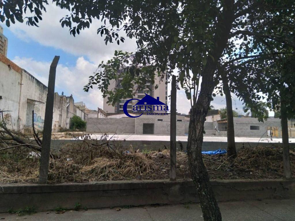 Terreno para alugar, 2392m² - Foto 2