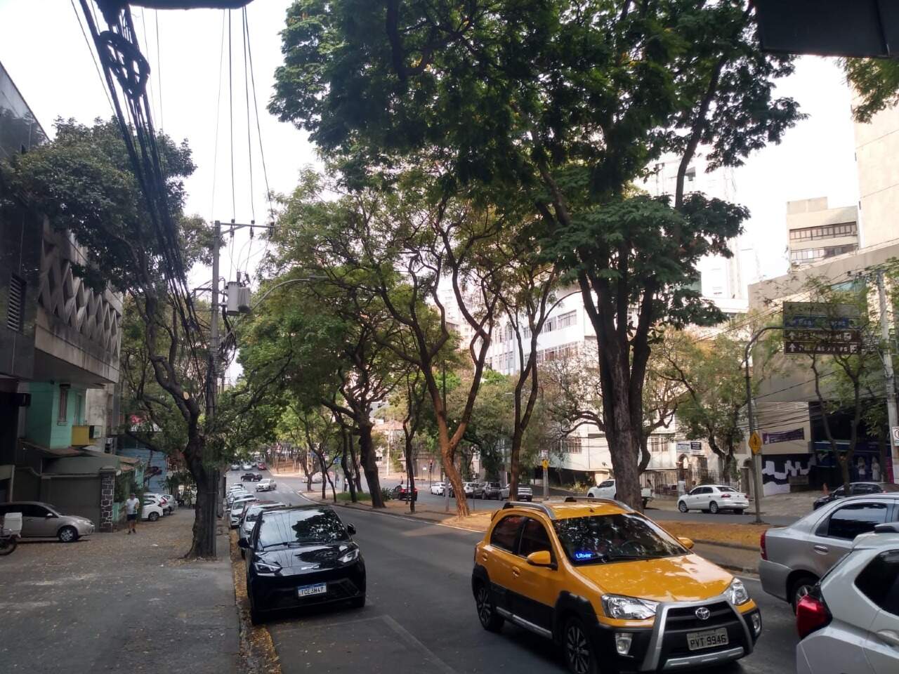 Comercial para aluguel no Lourdes: 