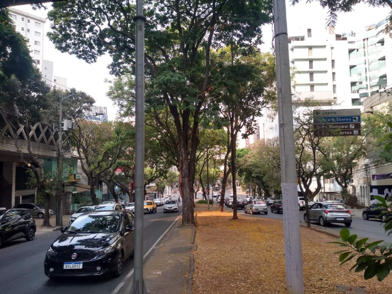 Comercial para aluguel no Lourdes: 